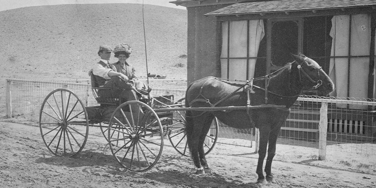 Clyde and Carrie Tingley in horse and buggy in front of house